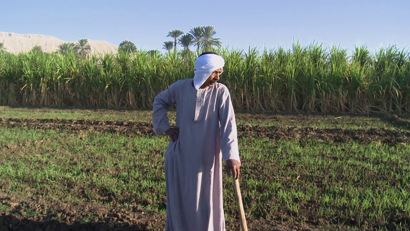 "Je suis le peuple" int&egrave;gre le dispositif Lyc&eacute;ens au cin&eacute;ma en Alsace